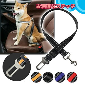 p V[gxg  [h Xeb` V[gxg 񗯎  L n[lX hbOJ[ Z[teB ԗp[h ݎ[h hCup ybg[h 