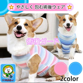 29日までポイント3倍／ 術後服 舐めない 犬 エリザベスカラー ストライプ 猫 虹色 安心ガード ストライプ 可愛い 背中開き 去勢 ペット 避妊 手術後 小型犬 中型犬 かわいい 介護服 ペット用 ボーダー ペット服 男の子 女の子 子ども ペット用術後服