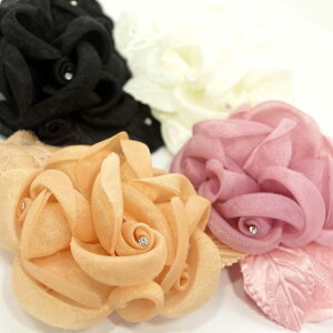 yzRT[W VtH[Y KÑu[P [X[t CXg[t k傫 u[`wANbv tH[}  p[eB[  w  Ǝ 