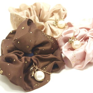 VV Te ՂՂvg ʃp[X^[ `[t kwAS LL wAANZT[ ǂ  p[r[Yől킢 ؂₩|j[e[l