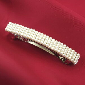 p[ ob^@~fBA p[4A k傫  wANbv tH[} i w   p[eB[ Zj[ ǂ x[VbN JWA Cxg fC[ 