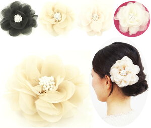 y [zRT[W  p[zCgԐc VtHbV ӂӂ܂܂t[ ku[`wANbv ⏬   w Ǝ l