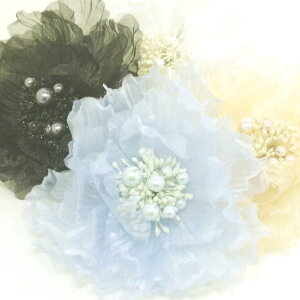 y[֑zRT[W  VtH p[t ku[`wANbv 傫 I[KW[ t[ tH[} hX X[c s[X    p