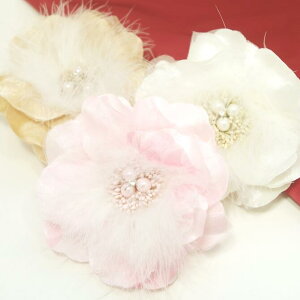 yzRT[W  p[CXg[tFU[ [k ku[`wANbv 킢 H I[KW[   tH[} JWA wAAW ܂