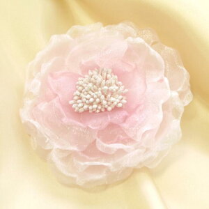 y[֑zRT[W  Of[VVtĤ `FbV ku[`wANbv sN I[KW[ 킢   w Ǝ  p[eB