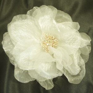 �y�������� ����i�z���� �R�T�[�W�� ������ ���C���X�g�[��2���t ���� �V�t�H�� �k�u���[�`���w�A�N���b�v �؂₩ �傫�� �L���L�� ������ �p�[�e�B�[ �����������Ɠ��w�� �t���_���X �C�x