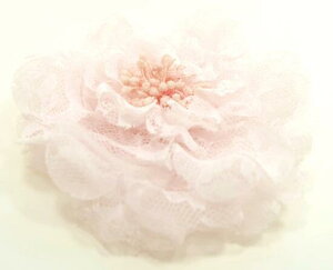 y[֑zRT[W  [X t[ ku[`wANbv 傫 I[KW[Ƃ̃Rr  tH[} hX X[c s[X    