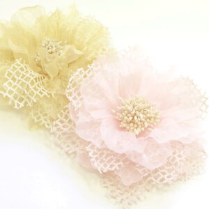 yzRT[W  iq[XVtH I[Ԑc ku[`wANbv 傫 傫  wƎ  a  wAAW mANZT