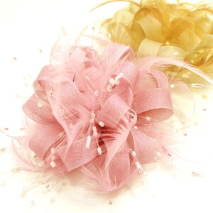 yzRT[W  VeB ku[`wANbv H 171259  ؂₩  w Ǝ l܂l