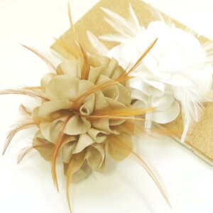 yzRT[W  tFU[sIj[ VtHTeƉH ku[`wANbv   a U wAAW ܂Ƃߔ    Ǝ w 