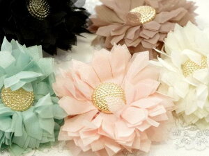 RT[W  VtH _A S[hZ^[ ku[`wANbv   ̂ wAAW  s[X  Ǝ eq LbY qǂ  w