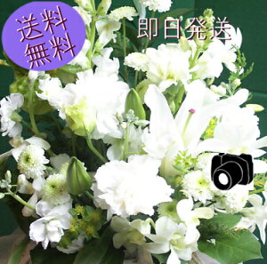y ԁz  y z ybg   ~  AWg 摜zM  ybg  AW @   l\  ފ V~ ~  