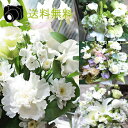 花 お供え お悔やみ 花 フラワー あす楽 お供え 花 ペット 画像配信 お盆 お花 ペット 洋花 アレンジメント 花 お悔やみ ユリ 【送料無料】 法事 一周忌 ご命日 花 お彼岸 お供え 花 新盆 お盆 お悔やみ お花 枕花 ご葬儀 お供え 即日発送 翌日配達 喪中