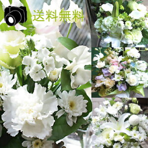     t[ y   ybg 摜zM ~  ybg m AWg    yz @    ފ   V~ ~ 