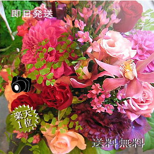  Mtg a  yyzyV1 y Mtgzt[ ܂G߂̉ԃAWM o[Xf[ a  v[g a t[ Mtg j җ jd AW