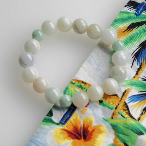 VRŐ@uXbg@傫߂̃TCY@19cm~21cm VRqXC@a@ӏ܁@