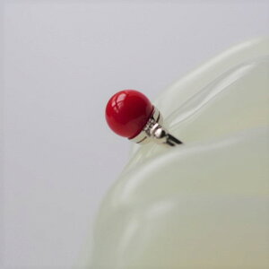 ԎX _Ch@O PT900@\[eBOt@VRTS