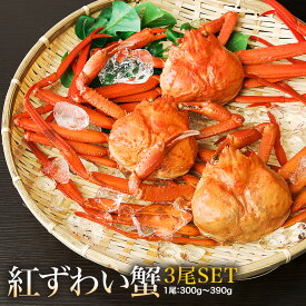 紅ずわい蟹 ＜ 冷蔵 でお届け ＞ 送料無料 鳥取県 境港産 正月 ボイル 紅 ずわい A級 3尾SET（1尾300～390g）【紅ずわい300A3尾】 ズワイ カニ