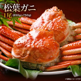 楽天市場 食品 海産物 鳥取県境港産 蟹 松葉ガニ １尾 ａ級 Yorokobi Marche
