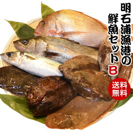 楽天市場 鮮魚の通販 楽天市場 鮮魚の通販