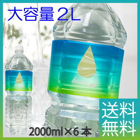 シリカ水 ケイ素 高濃度 90mg/L 天然水 biora シリカプラス 2000ml 6本 送料無料 シリカ90mg/L ビオーラ 宮崎県北霧島 湧き水 ナチュラルミネラルウォーター サルフェート シリカ ケイ素水【シリカP6本】