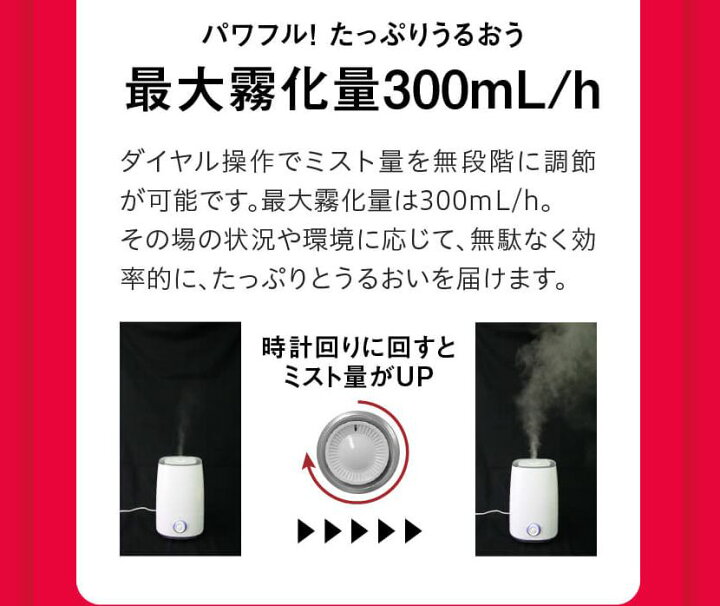 次亜塩素酸水 対応 加湿器 卓上 10L付 超音波式 ジアニスト 大容量 次亜塩素酸 4リットルタンク 次亜塩素酸水 対応 加湿器 卓上 10L付 超音波式 ジアニスト 大容量 次亜塩素酸 4リットルタンク