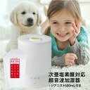 超音波加湿器 次亜塩素酸水 対応 空間噴霧推奨 加湿器 除菌 手軽に付着菌除菌 卓上 上部給水方式 ジアニスト 500mL付 空間噴霧 ウイルス対策 壁や床の付着菌対策 次亜塩素酸 加湿器 アロマ アロマディフューザー 利用可