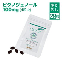 楽天市場】エレヴェ ピクノジェノールEXの通販