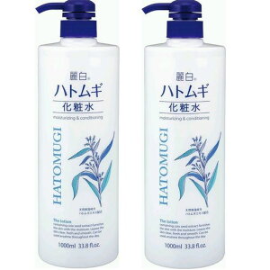픒ngMϐ{̑eʃTCY1000ml2{Zbg