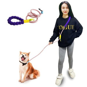 2025N̐VV_[[h̃[hV_[XgbvAnYt[pƍɎ莝̃t@bViuȒ^^pUp