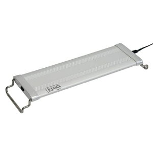 eg(Tetra)egp[LEDCg30ANAEA琬Cgh\(IPX7)RA92̍F琬͔|A琬k͔||Mы_J