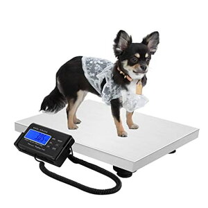 CGOLDENWALLufW^͂ybg̏dvfW^XP[LCD\XP[100g~300Kg܈L/ybg/z//B/(hׂ)obe[ʔ萯(hׂ)