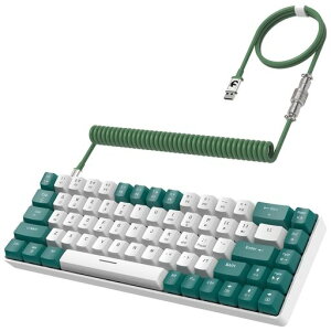 T8 �L�� 65% ���J�j�J���Q�[�~���O�L�[�{�[�h RGB LED �o�b�N���C�g�t�� �h�Փ� TKL ��m�C�Y �R�C���P�[�u�� type-c �P�[�u�� ���{��戵������ �� (green)