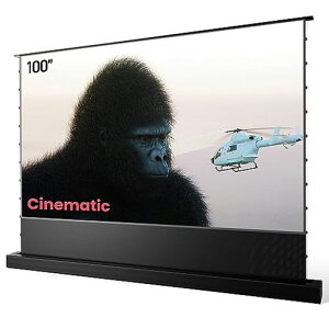 AWOL VISION ALR �v���W�F�N�^�[�X�N���[�� 100�C���` �d�����u���� ���Z�œ_��p �t���A���C�W���O ���R���g���X�g �����J�b�g95% ����p170° 4K�E8K�Ή� �z�[���V�A�^�[�X�N���[�� ��c�p (AL�c