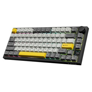 A.JAZZAK820Pro�Q�[�~���O�L�[�{�[�h3���[�hgift�����J�j�J��RGB�z�b�g�X���b�v�Ή��m�u�t��TFT�X�N���[��2.4Ghz/Bluetooth5.1/�L��Poron/ixpe/PET�t�H�[��PBT�L�[�L���b�v