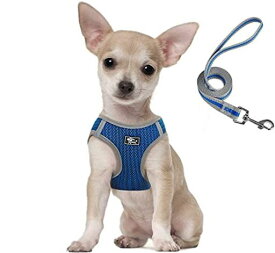 SUNGROO胴輪 犬 リード付き 抜けない 中型犬 メッシュ 通気 小型犬 猫ハーネス リードセット 引っ張り防止 調整可能 反射素材 かわいい (Sサイズ(X1) ブルー)