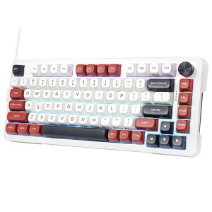 e���fZ82�Q�[�~���O�L�[�{�[�h�V���o�[�E�b�h���̃��J�j�J�����L�[�{�[�h�z�b�g�X���b�v�Ή������ς݃��j�A�⎲�X�C�b�`���̗p�A���`�S�[�X�g�L�[RGB�o�b�N���C�g�t��PC�p82�L�[�J�X�^�c