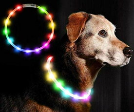 LED光る首輪 DARHOO 首輪 犬 猫 光る LEDライト おしゃれ ペット 夜間 安全性 夜道 散歩 USB充電式 防水 小型犬 中型犬 大型犬に対応 サイズ調節可能 - 虹色