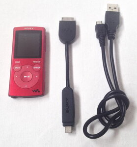 SONY�E�H�[�N�}��E�V���[�Y2GB���b�hNW-E062/R