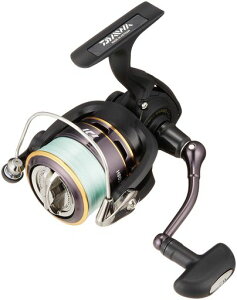 �_�C��(DAIWA)�X�s�j���O���[��(���t��)16���[�K��2508HPE�c�L(2016���f��)