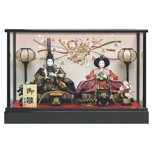 ЂȐl`l`eP[X荕hKXP[XlڎhJobNԌ56.2xs28.8x38cm04-3-13