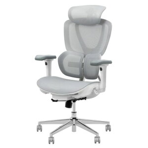 FLEXISPOT�I�t�B�X�`�F�A�f�X�N�`�F�AC8�l�ԍH�w�G���S�m�~�N�X�`�F�A���b�V���`�F�A2WAY�����K�������o�[�T�|�[�g�w������̍������߃V���N�����b�L���O3�i�K�Œ���ʉ��s����3D�A�[�����c