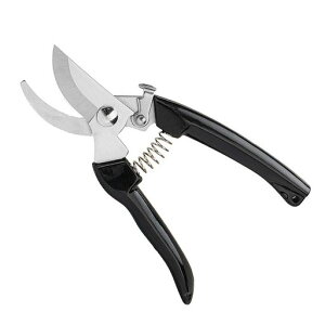 |p΂݊px\XeXyʃObvt|EAp(ubNȂ钷17cm)