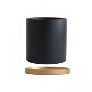 AؔJo[tv^[픫Z~bNꌊMtzCgubNO[fBJ[~`a15cm15cmCeAϗtA(ubN+Fg[:15cm)