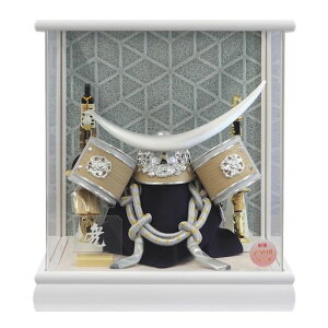 �܌��l�`�R���p�N�g���P�[�X����usou�_�C�����A�N�����P�[�X�ɒB���@�Ԍ�28x���s22.5x������32cmSP05502B
