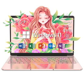 ノートパソコンWindows11Pro搭載MSOffice2019搭載14インチIPS液晶/1920x1080FHDディスプレイカメラ付きDobios