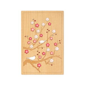 Crucial(�N���[�V����)���󒠁u���t�̋Y��v24130TST