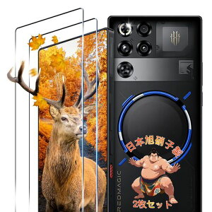 �y2���Z�b�g�z �p RedMagic 11 Pro/11 Pro+ �K���X�t�B���� �t�B���� 2�� ���b�h�}�W�b�N 11 pro �ی�t�B���� �J�o�[ �y ���{�Ɏq�f�� 9H���x �z �Ή� RedMagic 10 Pro+ ��ʕی�t�B���� �����K���X