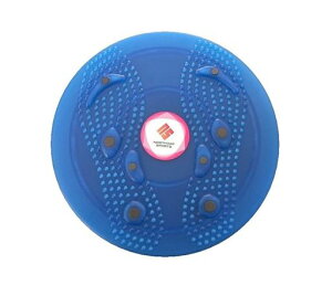 NORTHWAYSPORTS�c�C�X�^�[�u���[��25cmNST-6310