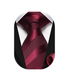 [HISDERN] 赤 ネクタイ結婚式 ネクタイ メンズ チーフ セット ストライプ柄 フォーマル ビジネス用 ブランド 礼服用 慶事用 紳士 プレゼント